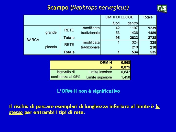 Scampo (Nephrops norvegicus) L’ORM-H non è significativo Il rischio di pescare esemplari di lunghezza