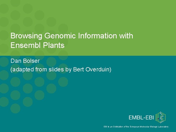 Browsing Genomic Information with Ensembl Plants Dan Bolser (adapted from slides by Bert Overduin)