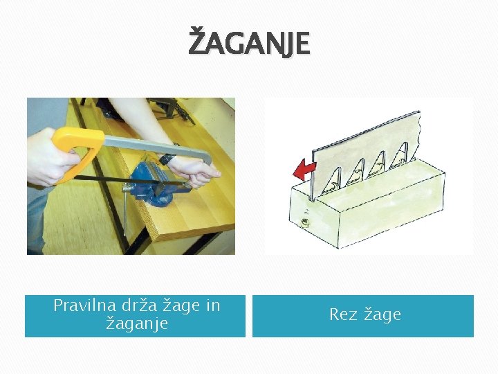 ŽAGANJE Pravilna drža žage in žaganje Rez žage ŽAGANJE Pravilna drža žage in žaganje Rez žage