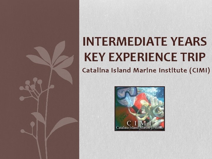 INTERMEDIATE YEARS KEY EXPERIENCE TRIP Catalina Island Marine Institute (CIMI) 