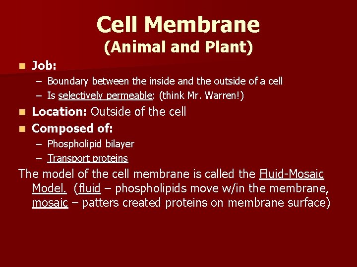 Cell Membrane (Animal and Plant) n Job: – Boundary between the inside and the