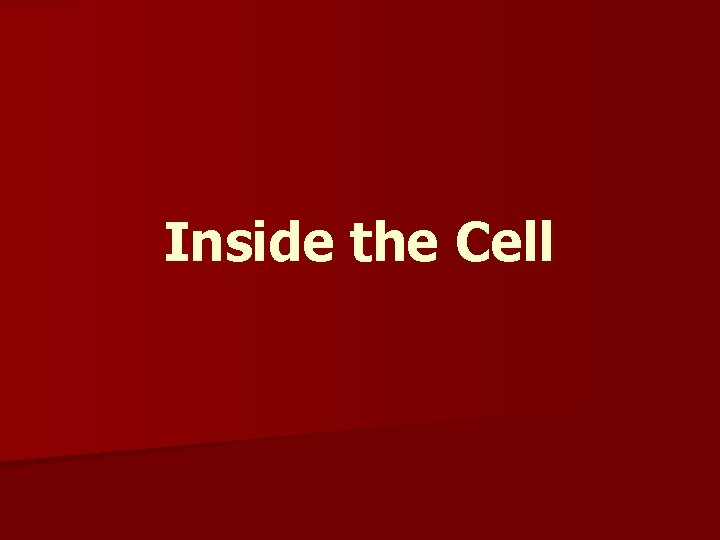Inside the Cell 