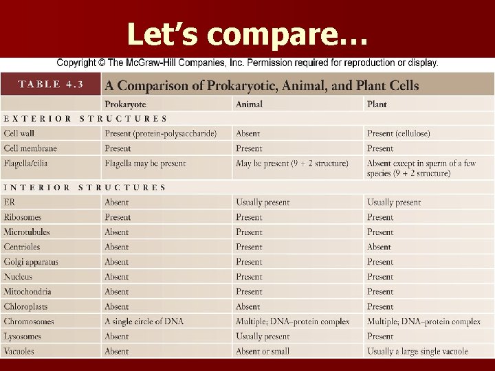 Let’s compare… 