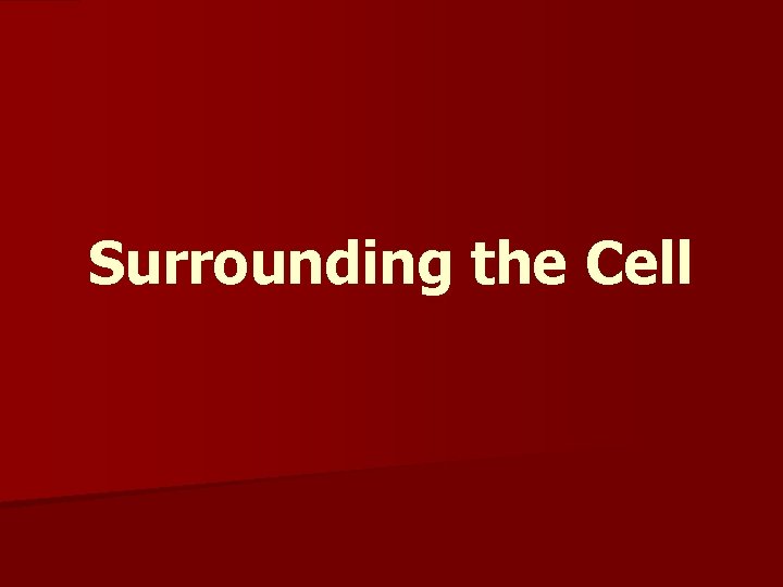 Surrounding the Cell 