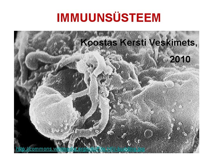 IMMUUNSÜSTEEM Koostas Kersti Veskimets, 2010 http: //commons. wikimedia. org/wiki/File: HIV-budding. jpg 