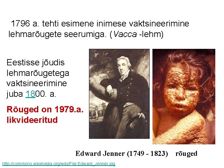  1796 a. tehti esimene inimese vaktsineerimine lehmarõugete seerumiga. (Vacca -lehm) Eestisse jõudis lehmarõugetega
