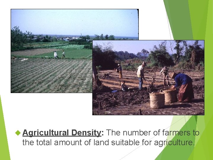  Agricultural Density: The number of farmers to the total amount of land suitable