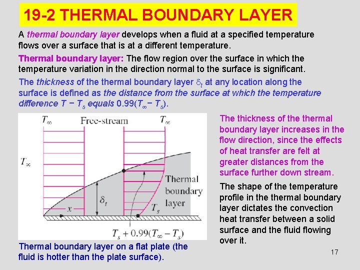 19 -2 THERMAL BOUNDARY LAYER A thermal boundary layer develops when a fluid at