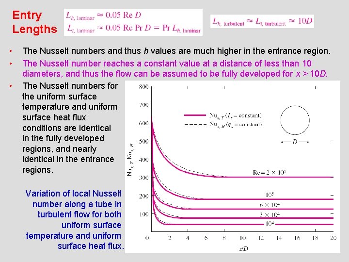 Entry Lengths • • • The Nusselt numbers and thus h values are much