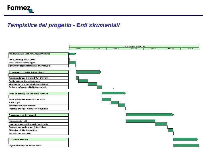 Tempistica del progetto - Enti strumentali 