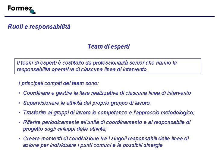 Ruoli e responsabilità Team di esperti Il team di esperti è costituito da professionalità