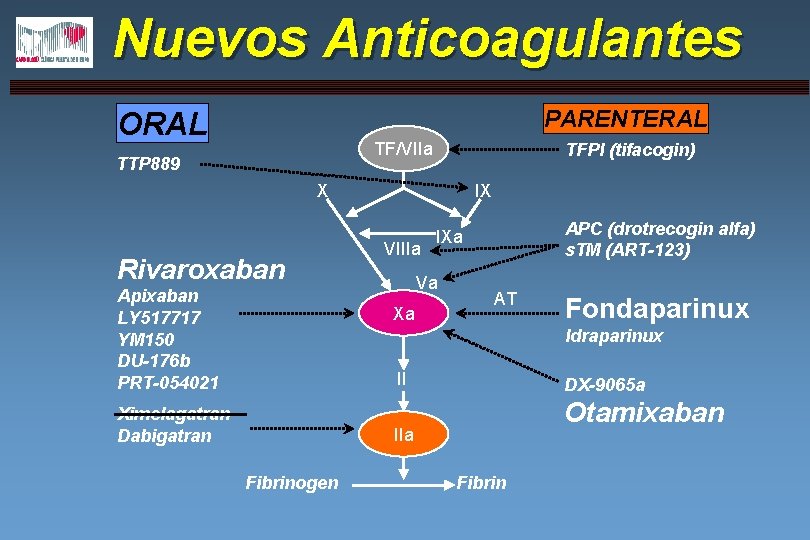 Nuevos Anticoagulantes PARENTERAL ORAL TF/VIIa TTP 889 TFPI (tifacogin) X Rivaroxaban Apixaban LY 517717