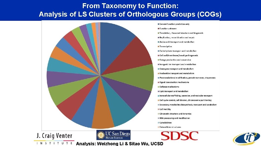 From Taxonomy to Function: Analysis of LS Clusters of Orthologous Groups (COGs) Analysis: Weizhong