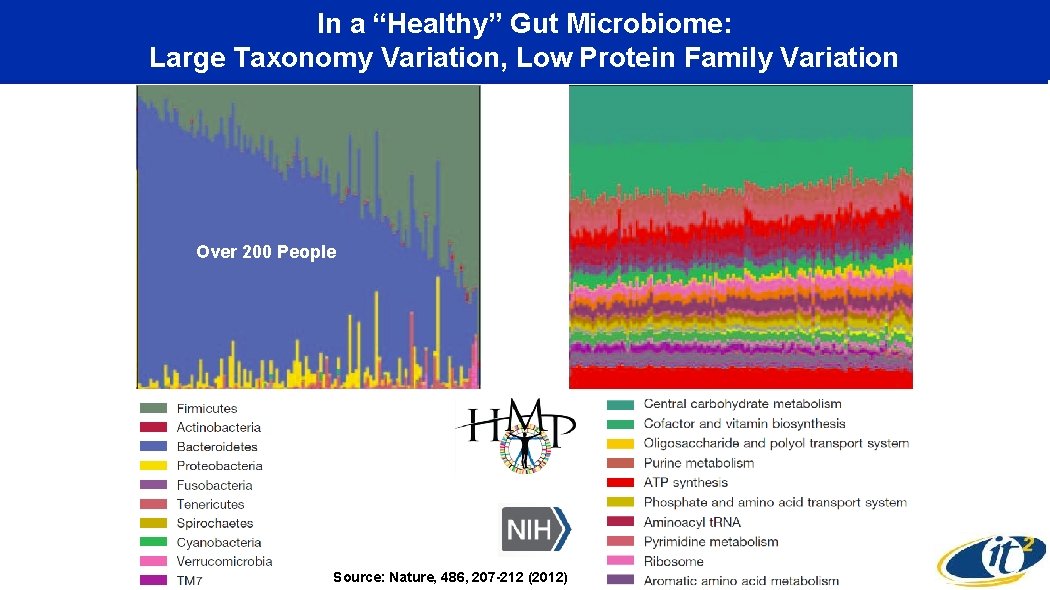 In a “Healthy” Gut Microbiome: Large Taxonomy Variation, Low Protein Family Variation Over 200