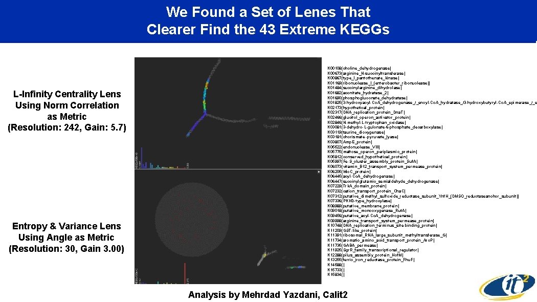 We Found a Set of Lenes That Clearer Find the 43 Extreme KEGGs L-Infinity