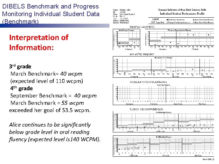 DIBELS Benchmark and Progress Monitoring Individual Student Data (Benchmark) Interpretation of Information: 3 rd