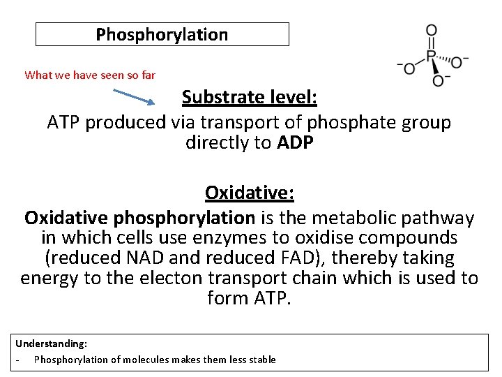 Phosphorylation What we have seen so far Substrate level: ATP produced via transport of