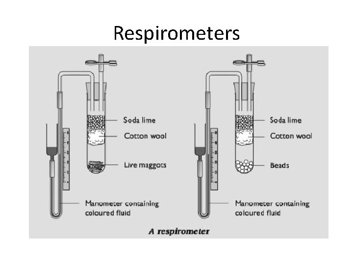 Respirometers 