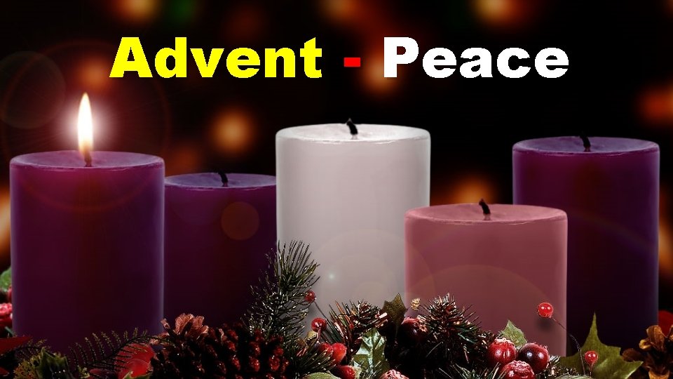 Advent - Peace 