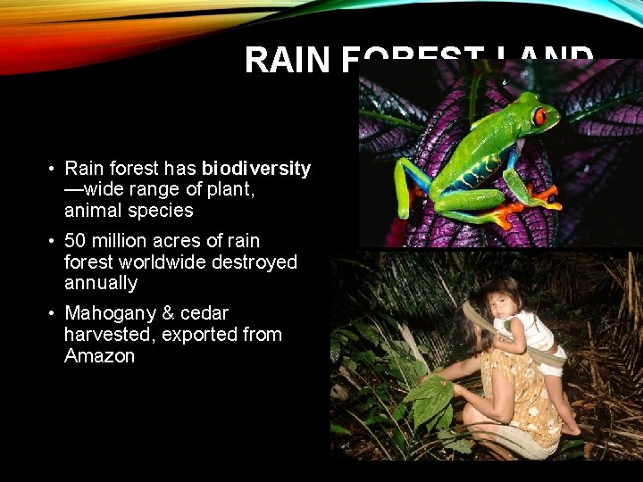 RAIN FOREST LAND USES • Rain forest has biodiversity —wide range of plant, animal