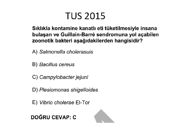 TUS 2015 