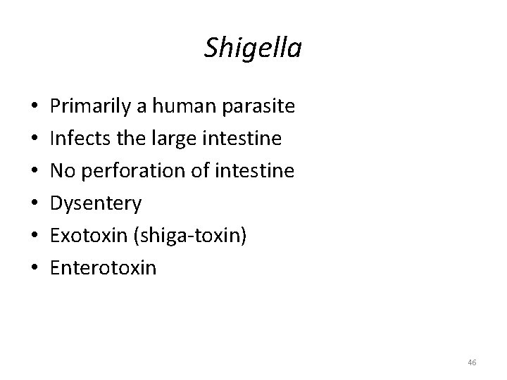 Shigella • • • Primarily a human parasite Infects the large intestine No perforation