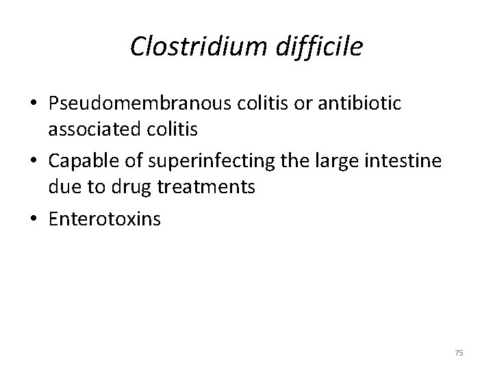 Clostridium difficile • Pseudomembranous colitis or antibiotic associated colitis • Capable of superinfecting the