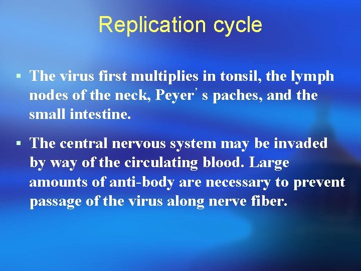 Replication cycle § The virus first multiplies in tonsil, the lymph nodes of the