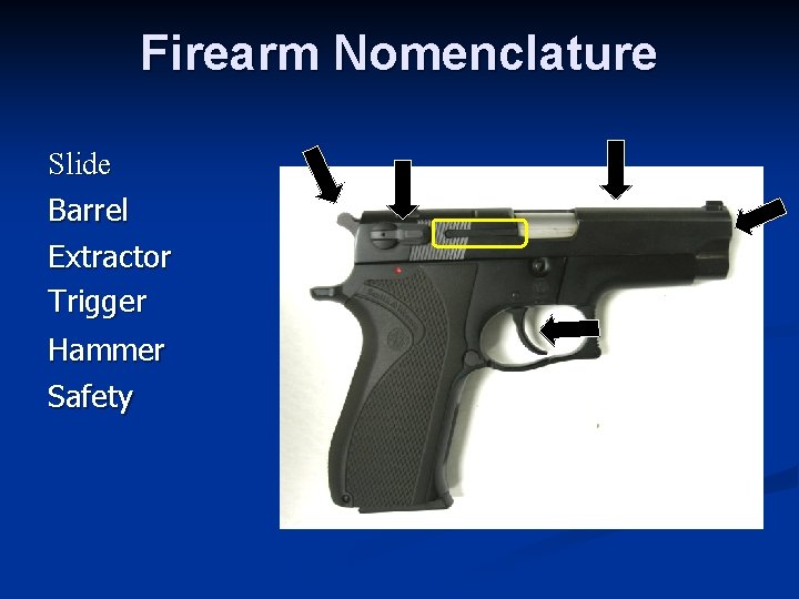 Firearm Nomenclature Slide Barrel Extractor Trigger Hammer Safety 