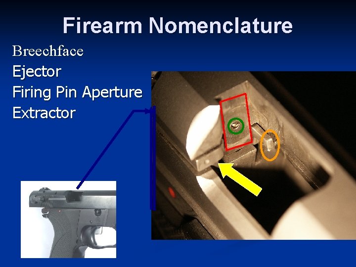 Firearm Nomenclature Breechface Ejector Firing Pin Aperture Extractor 