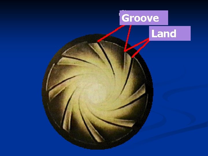 Groove Land 