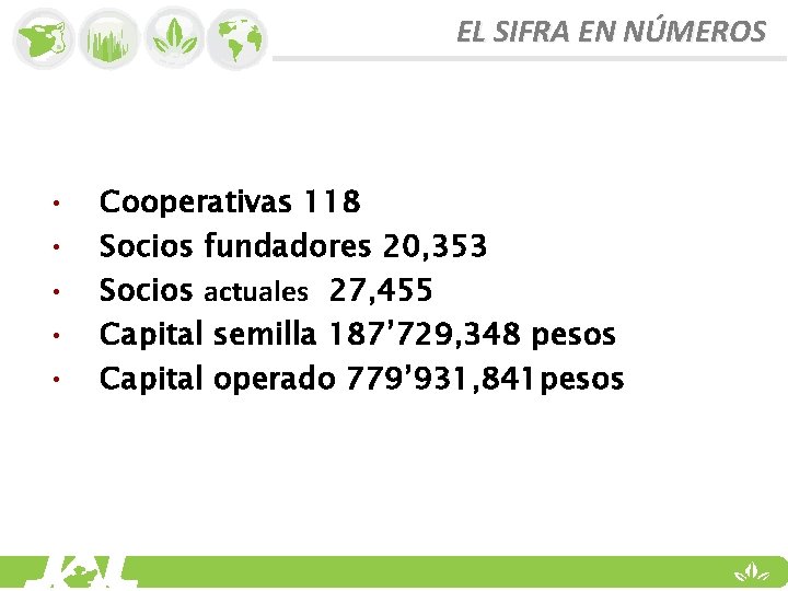 EL SIFRA EN NÚMEROS • • • Cooperativas 118 Socios fundadores 20, 353 Socios