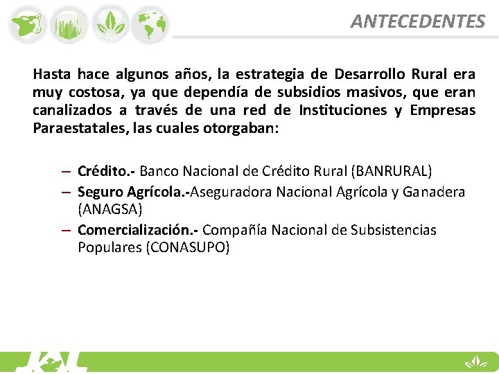 ANTECEDENTES Hasta hace algunos años, la estrategia de Desarrollo Rural era muy costosa, ya