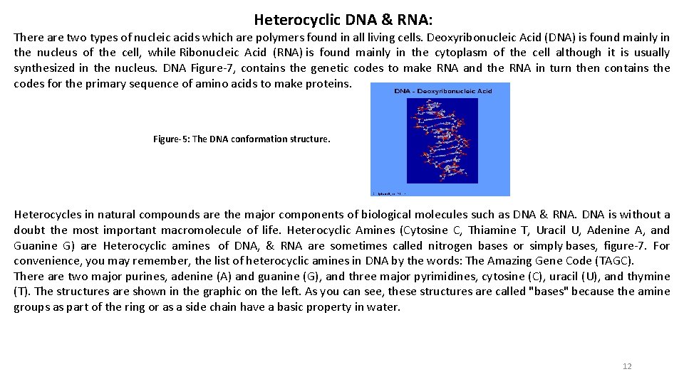Heterocyclic DNA & RNA: There are two types of nucleic acids which are polymers