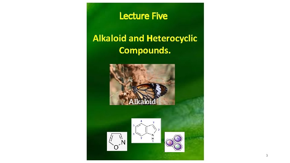 Lecture Five Alkaloid and Heterocyclic Compounds. 3 