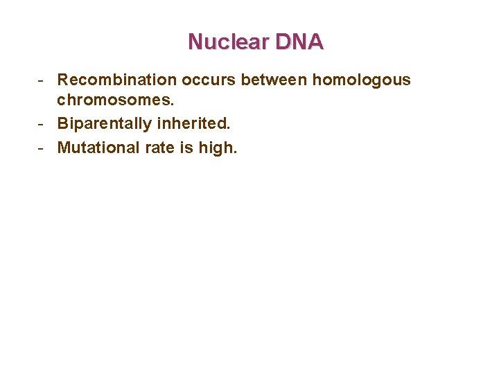 Nuclear DNA - Recombination occurs between homologous chromosomes. - Biparentally inherited. - Mutational rate