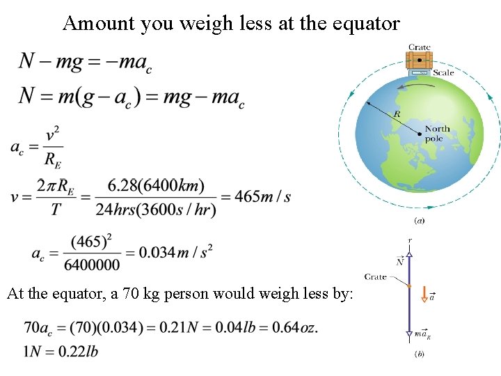 Amount you weigh less at the equator At the equator, a 70 kg person Amount you weigh less at the equator At the equator, a 70 kg person