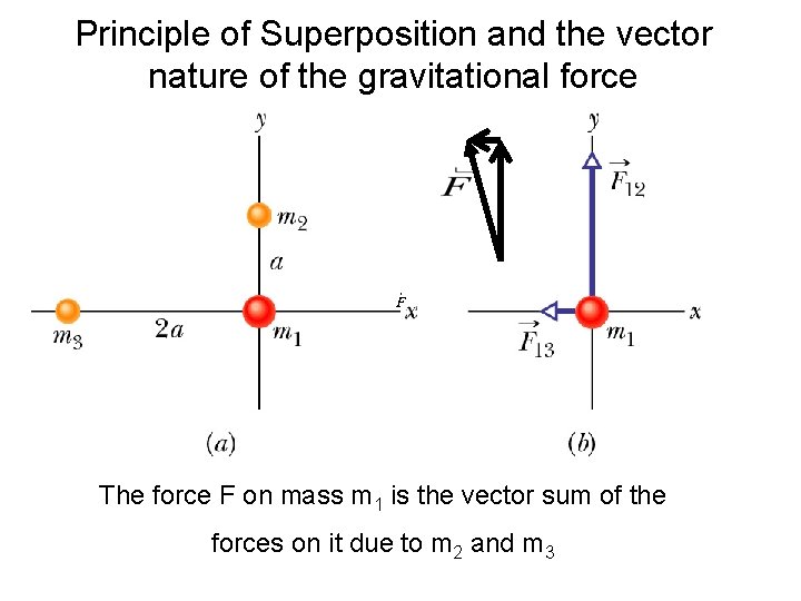 Principle of Superposition and the vector nature of the gravitational force The force F Principle of Superposition and the vector nature of the gravitational force The force F