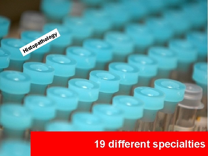 gy o l o h t pa o t His Neuropathology 19 different specialties