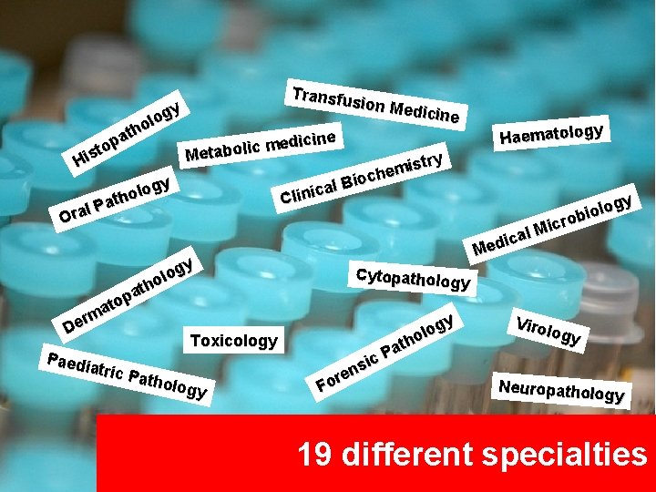 Transfu sion Me y dicine g o l o h t pa edicine m