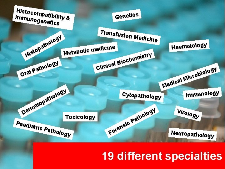 Histoco m Immun patibility & ogenet ics s Genetic Transfu sion Me y dicine