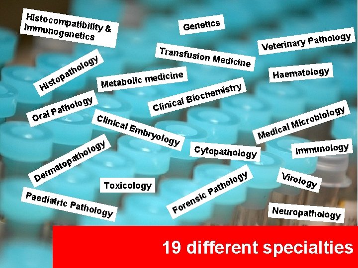 Histoco m Immun patibility & ogenet ics s Genetic logy o h t a