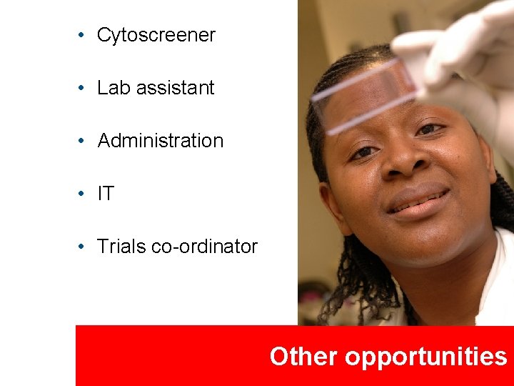  • Cytoscreener • Lab assistant • Administration • IT • Trials co-ordinator Other