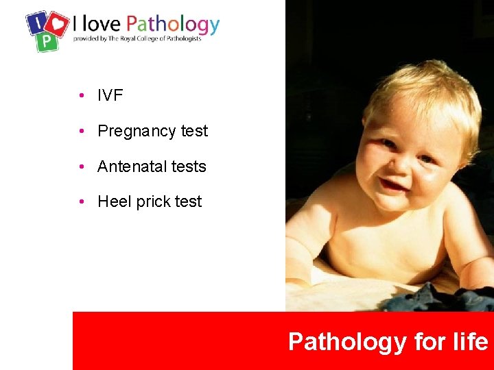  • IVF • Pregnancy test • Antenatal tests • Heel prick test Pathology