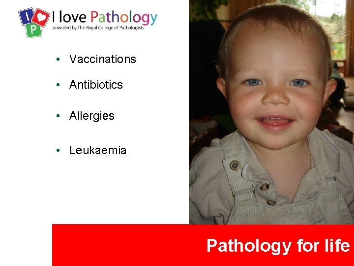  • Vaccinations • Antibiotics • Allergies • Leukaemia Pathology for life 