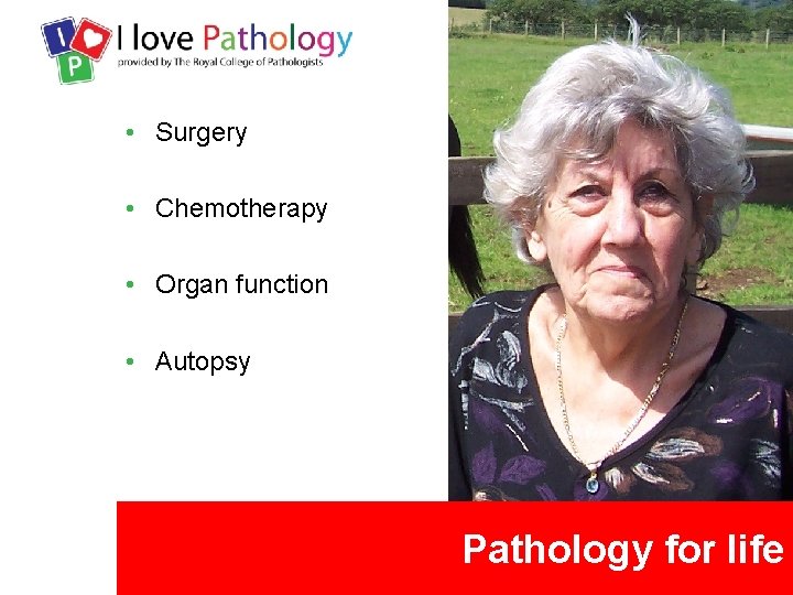 • Surgery • Chemotherapy • Organ function • Autopsy Pathology for life 