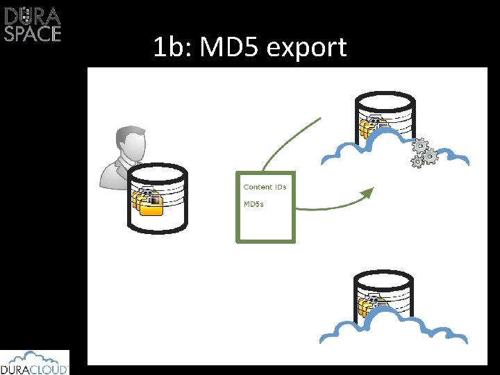 1 b: MD 5 export 