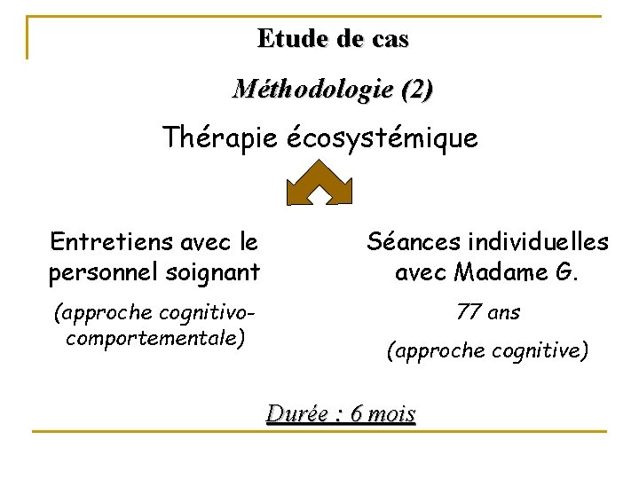 Etude de cas Méthodologie (2) Thérapie écosystémique Entretiens avec le personnel soignant Séances individuelles