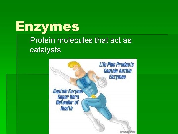 Enzymes Protein molecules that act as catalysts 