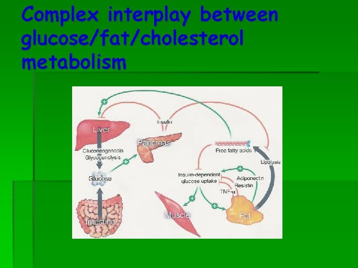 Complex interplay between glucose/fat/cholesterol metabolism 